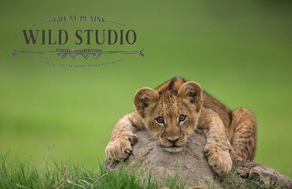 Great Plains Wild Studios Great Plains Wild Studios