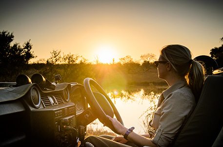 sabi sands safari packages sabi sands safari packages