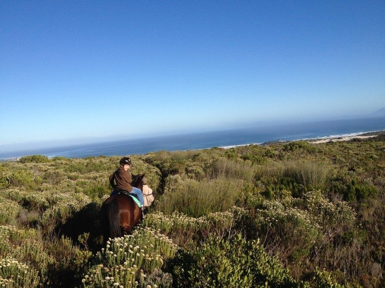 Garden Route horseback riding Garden Route horseback riding