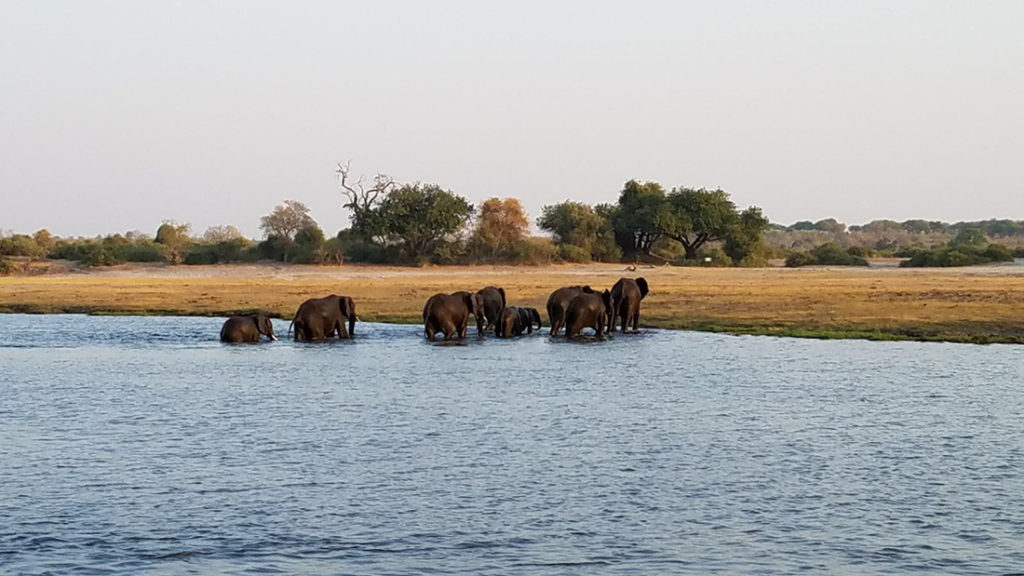 Zimbabwe on the Rise