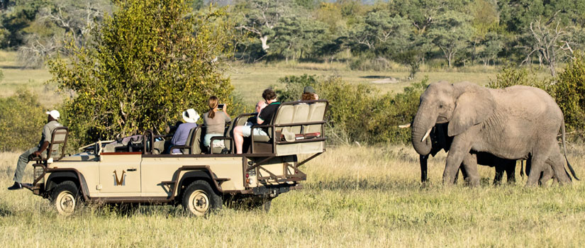 Traveler's Corner: A Southern Africa Extravaganza | AAC