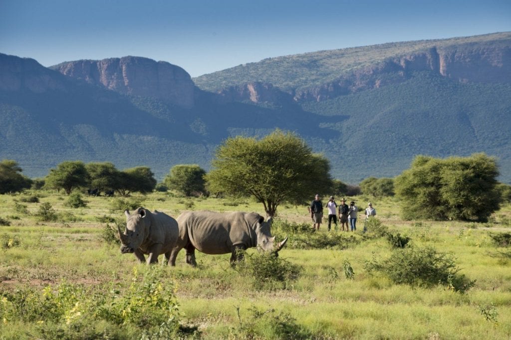 Africa News – January 2015