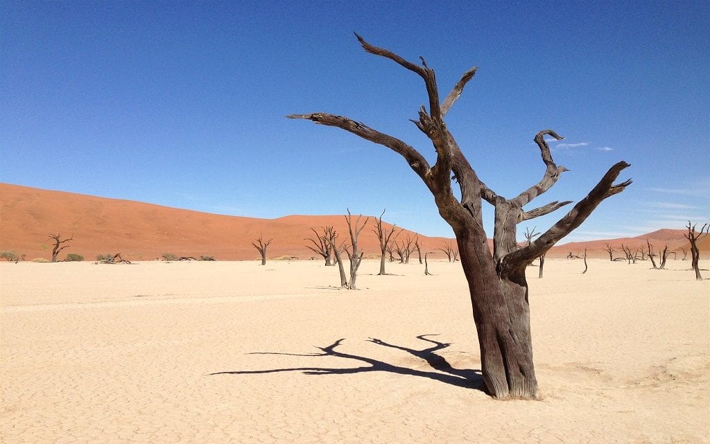 Undiscovered Namibia