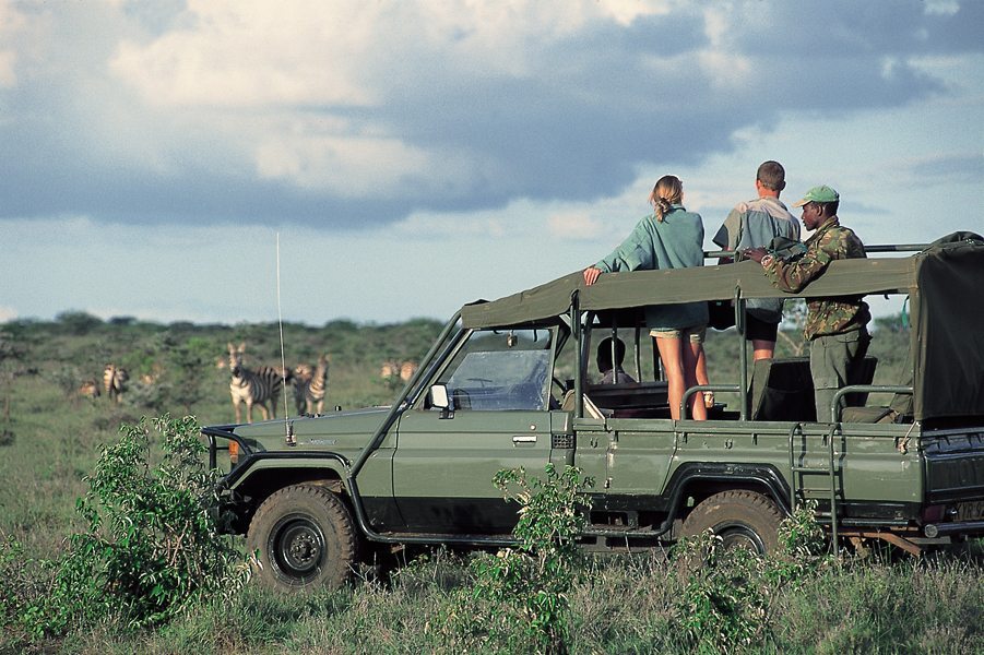 AAC Offers the Best Guiding On Safari