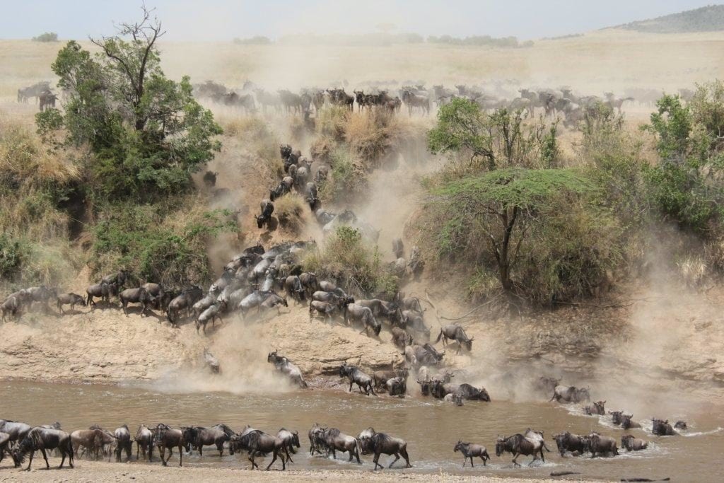 Africa News – August 2015