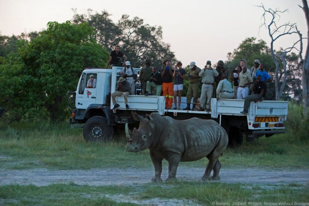 Kent’s Botswana Trip Report