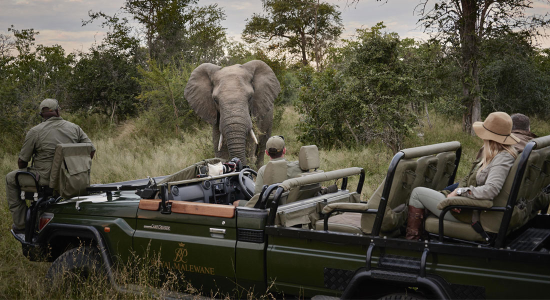 Best of Southern Africa Safari: 12-Day Luxury Adventure with Top Lodges