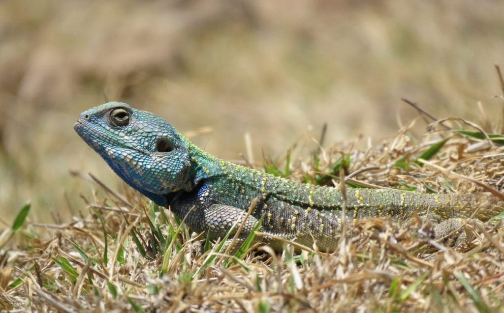 Angie Visits Tanzania – Ngorongoro Crater
