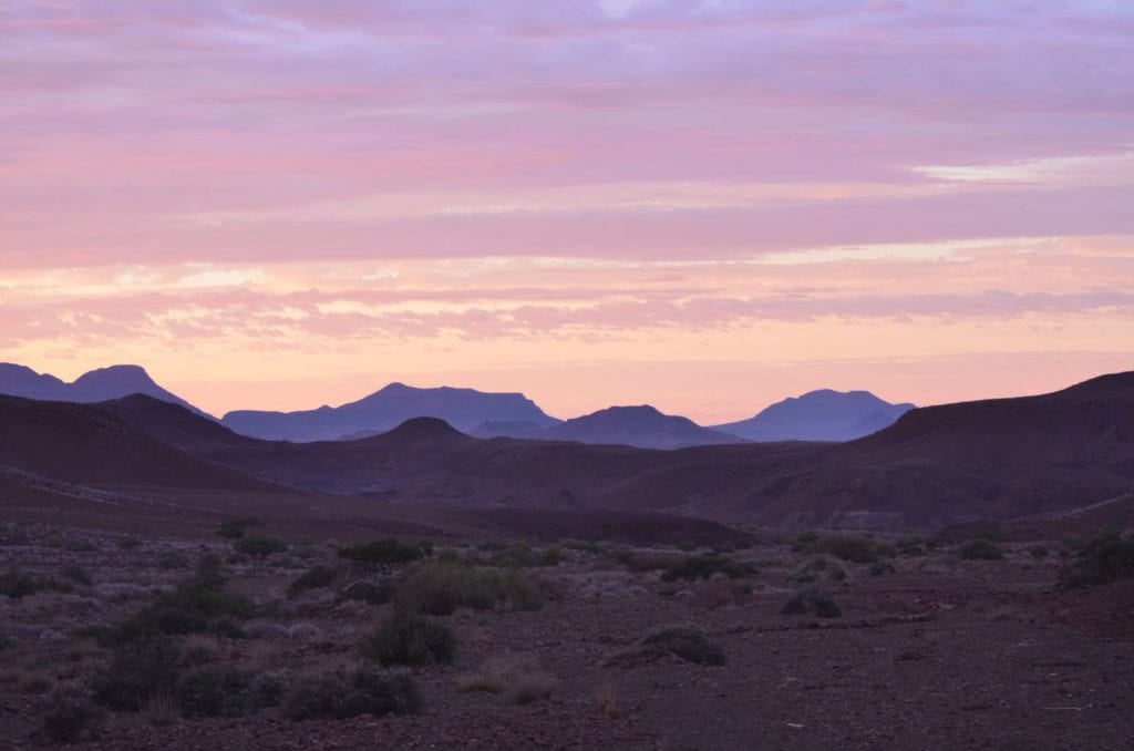 Top Reasons to Visit Namibia During the Green Season