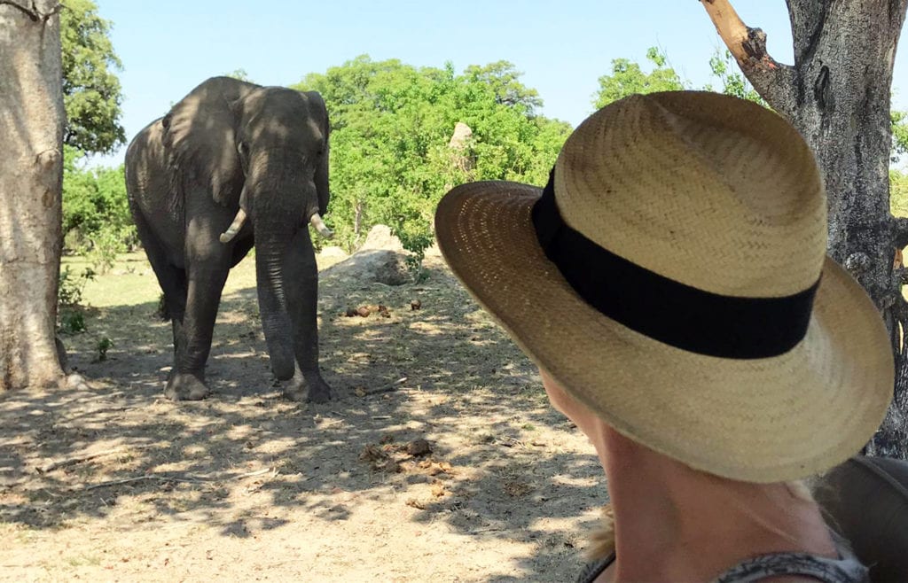 Plan Your Safari to Limit Exposure Risk